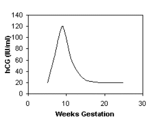 Beta Hcg Pregnancy Chart