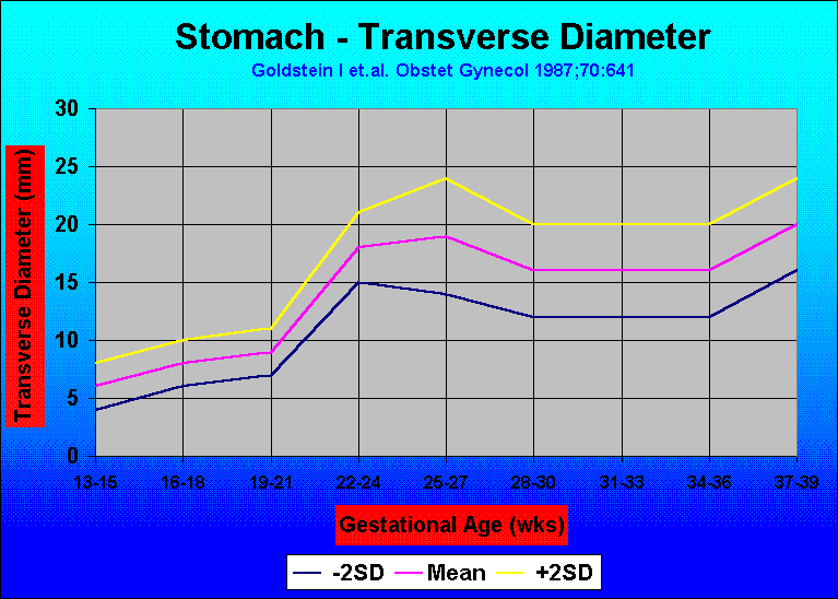 Stomach Measurement Chart